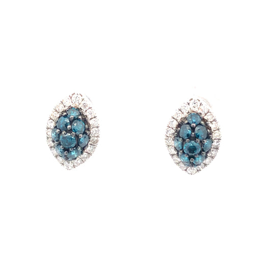 Blue Diamond Earring E09535